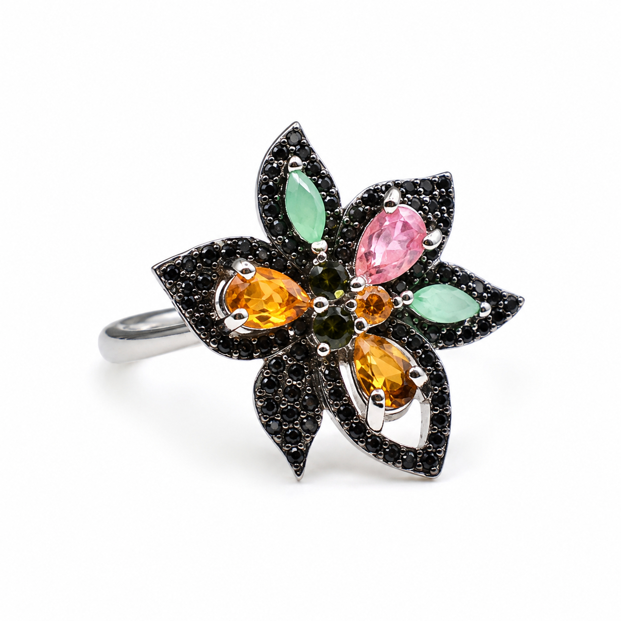Anillo Botánica